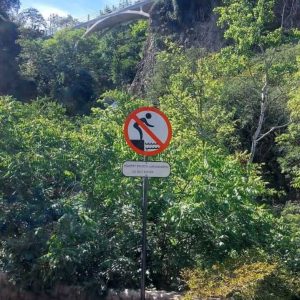 sagzao nishnebi, sagzao nishnebis damzadeba, Updated 2024 (1)