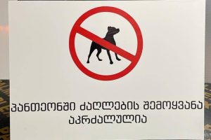 აბრა, აბრები, სარეკლამო აბრა, აბრის დამზადება. Updated 2025 (33)