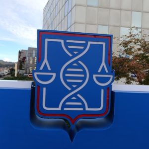 ლაითბოქსი სარეკლამო დამზადება ბეჭდვა, ლაითბოქების დამზადება. Updated 2025 (30)