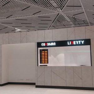 მანათობელი მოცულობითი სარეკლამო ასოები. Updated 2025 (6)