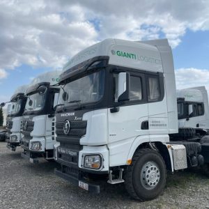 მანქანის ბრენდირება დაბრენდვა. (3)