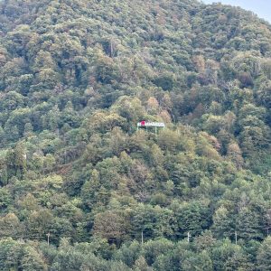 მოცულობითი ასოები, მანათობელი ასოები.Updated 2025 (20)