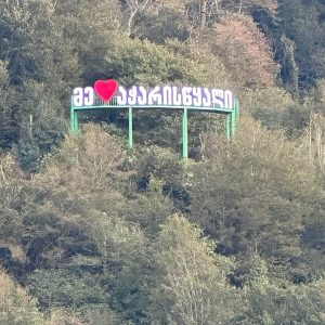 მოცულობითი ასოები, მანათობელი ასოები.Updated 2025 (21)