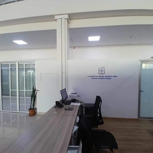 ორგმინაზე ჭრა, ორგმინაზე გრავირება. Updated 2025 (1)