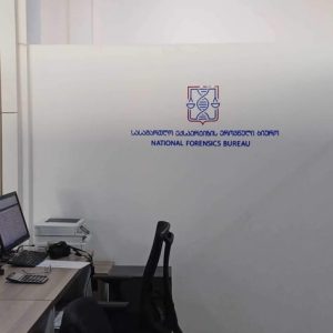 ორგმინაზე ჭრა, ორგმინაზე გრავირება. Updated 2025 (10)