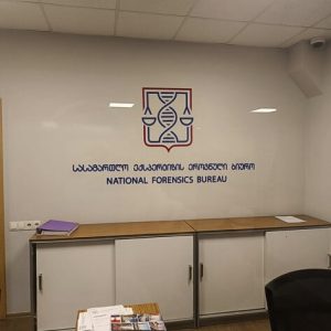 ორგმინაზე ჭრა, ორგმინაზე გრავირება. Updated 2025 (2)
