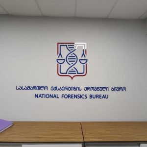 ორგმინაზე ჭრა, ორგმინაზე გრავირება. Updated 2025 (3)