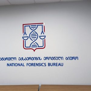 ორგმინაზე ჭრა, ორგმინაზე გრავირება. Updated 2025 (4)