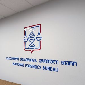 ორგმინაზე ჭრა, ორგმინაზე გრავირება. Updated 2025 (5)