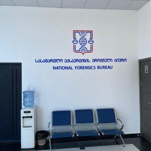 ორგმინაზე ჭრა, ორგმინაზე გრავირება. Updated 2025 (7)